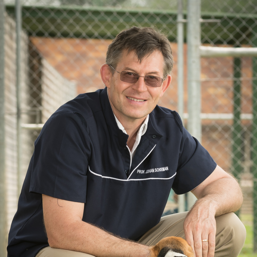 professor johan schoeman